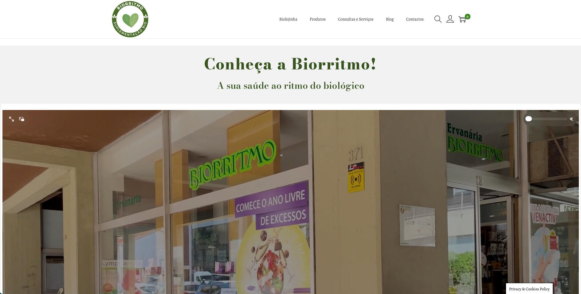 website desenvolvimento-website